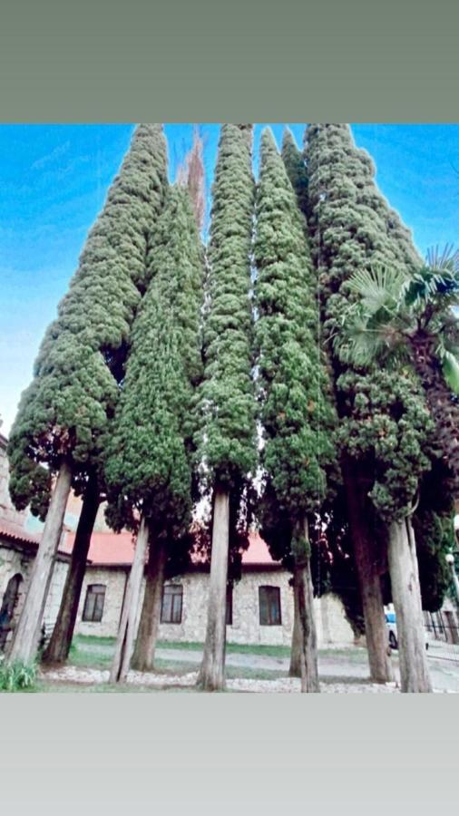 Guest House Ahan Gagra Exterior foto